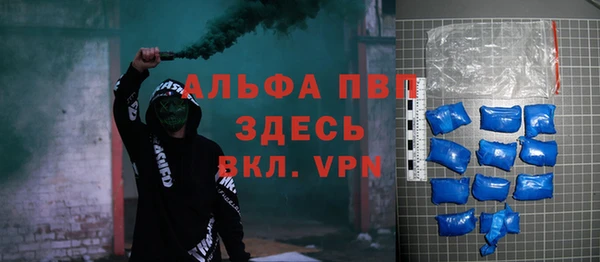 хмурый Новозыбков