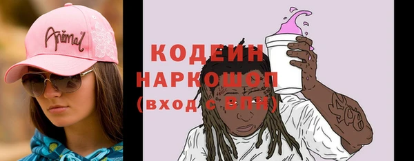 хмурый Новозыбков