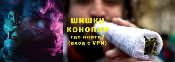 хмурый Новозыбков