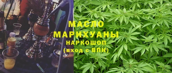хмурый Новозыбков