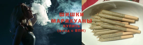 хмурый Новозыбков