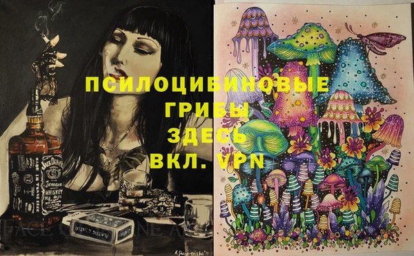 дурь Нея