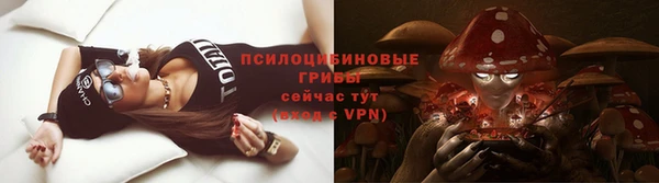 МДПВ Новодвинск