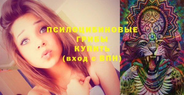 МДПВ Новодвинск