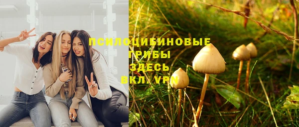 МДПВ Новодвинск