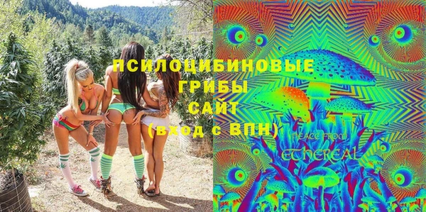 хмурый Новозыбков
