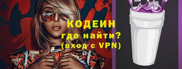 хмурый Новозыбков