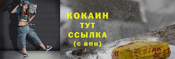 хмурый Новозыбков