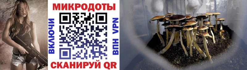 Галлюциногенные грибы MAGIC MUSHROOMS  купить  сайты  Черногорск 