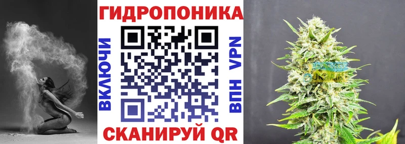 Бошки марихуана сатива  MEGA онион  Черногорск 